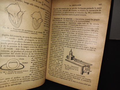 65- Ciencias Naturales Para Uso De Los Alumnos De Segunda Enseñanza - E. Caustier - 1927