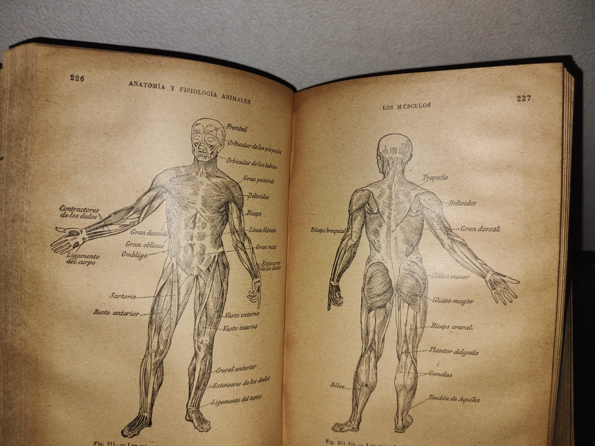 65- Ciencias Naturales Para Uso De Los Alumnos De Segunda Enseñanza - E. Caustier - 1927