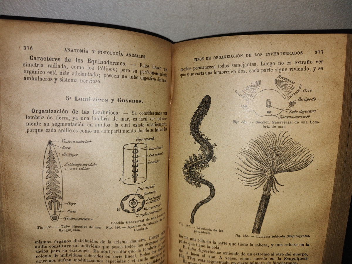 65- Ciencias Naturales Para Uso De Los Alumnos De Segunda Enseñanza - E. Caustier - 1927