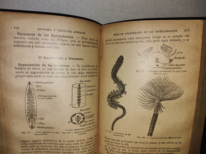 65- Ciencias Naturales Para Uso De Los Alumnos De Segunda Enseñanza - E. Caustier - 1927