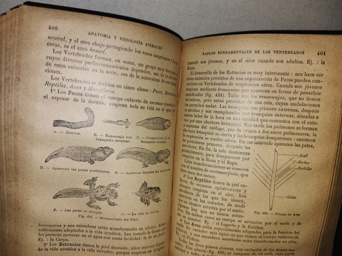 65- Ciencias Naturales Para Uso De Los Alumnos De Segunda Enseñanza - E. Caustier - 1927