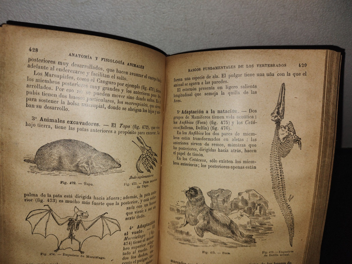 65- Ciencias Naturales Para Uso De Los Alumnos De Segunda Enseñanza - E. Caustier - 1927