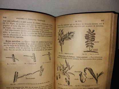 65- Ciencias Naturales Para Uso De Los Alumnos De Segunda Enseñanza - E. Caustier - 1927