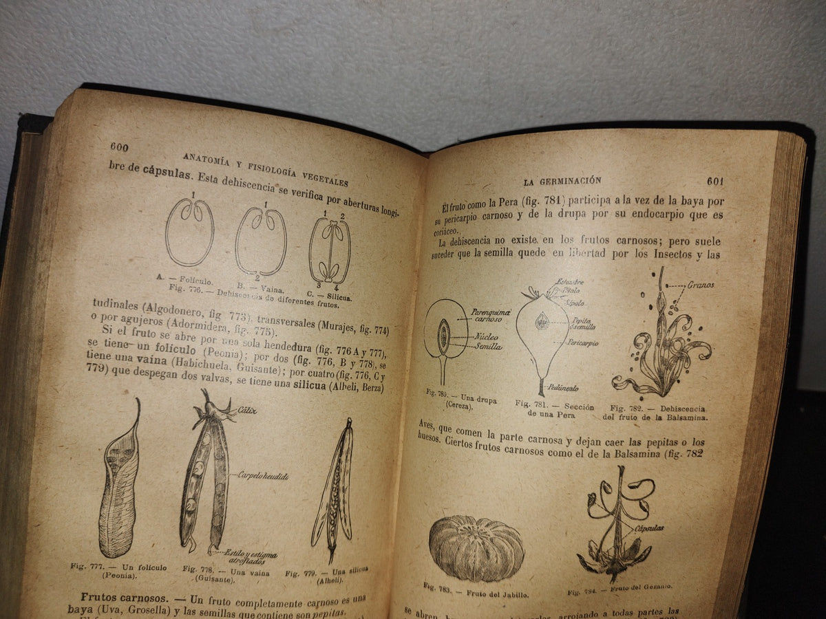 65- Ciencias Naturales Para Uso De Los Alumnos De Segunda Enseñanza - E. Caustier - 1927