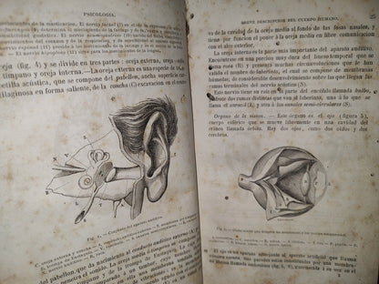 59- Tratado Elemental De Filosofía - P. Janet - París, Librería De C. Bouret / México, Librería De C. Bouret, 1882