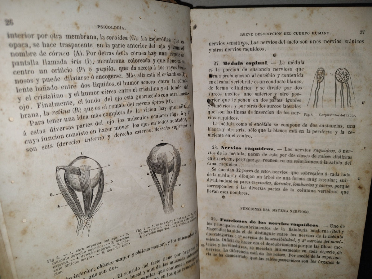 59- Tratado Elemental De Filosofía - P. Janet - París, Librería De C. Bouret / México, Librería De C. Bouret, 1882