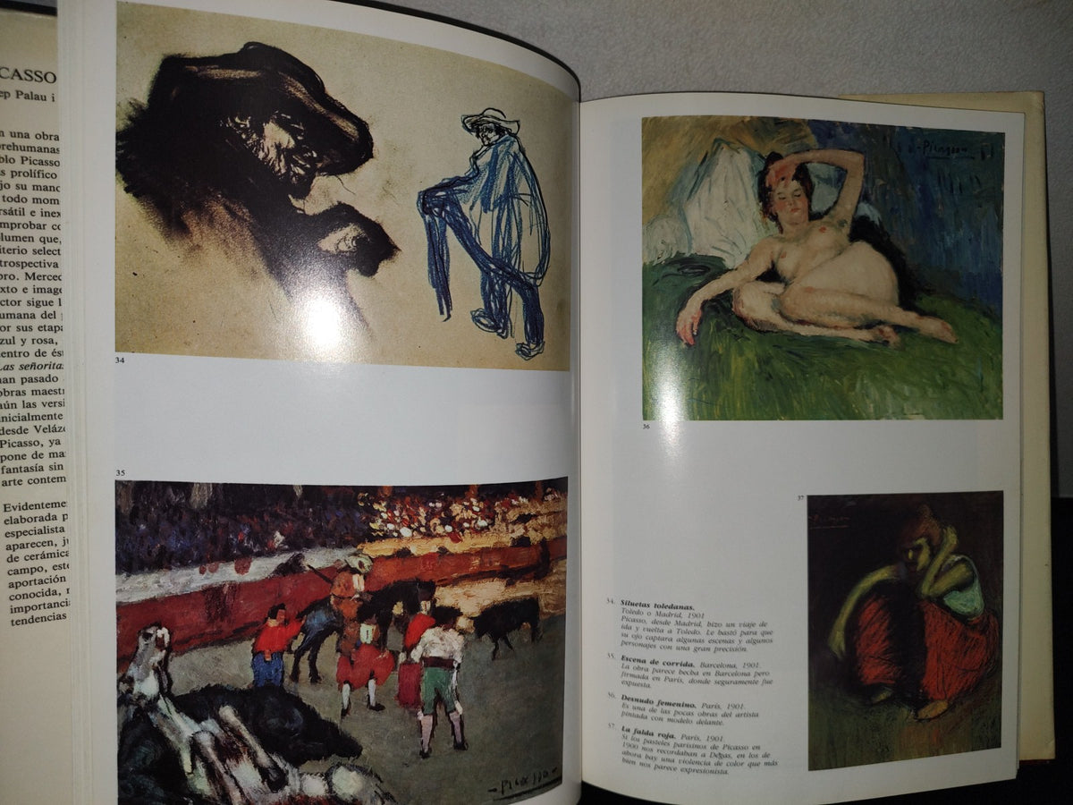 87-2- Picasso - Josep Palau I Fabre - 1981 Ediciones Polígrafa, S. A.