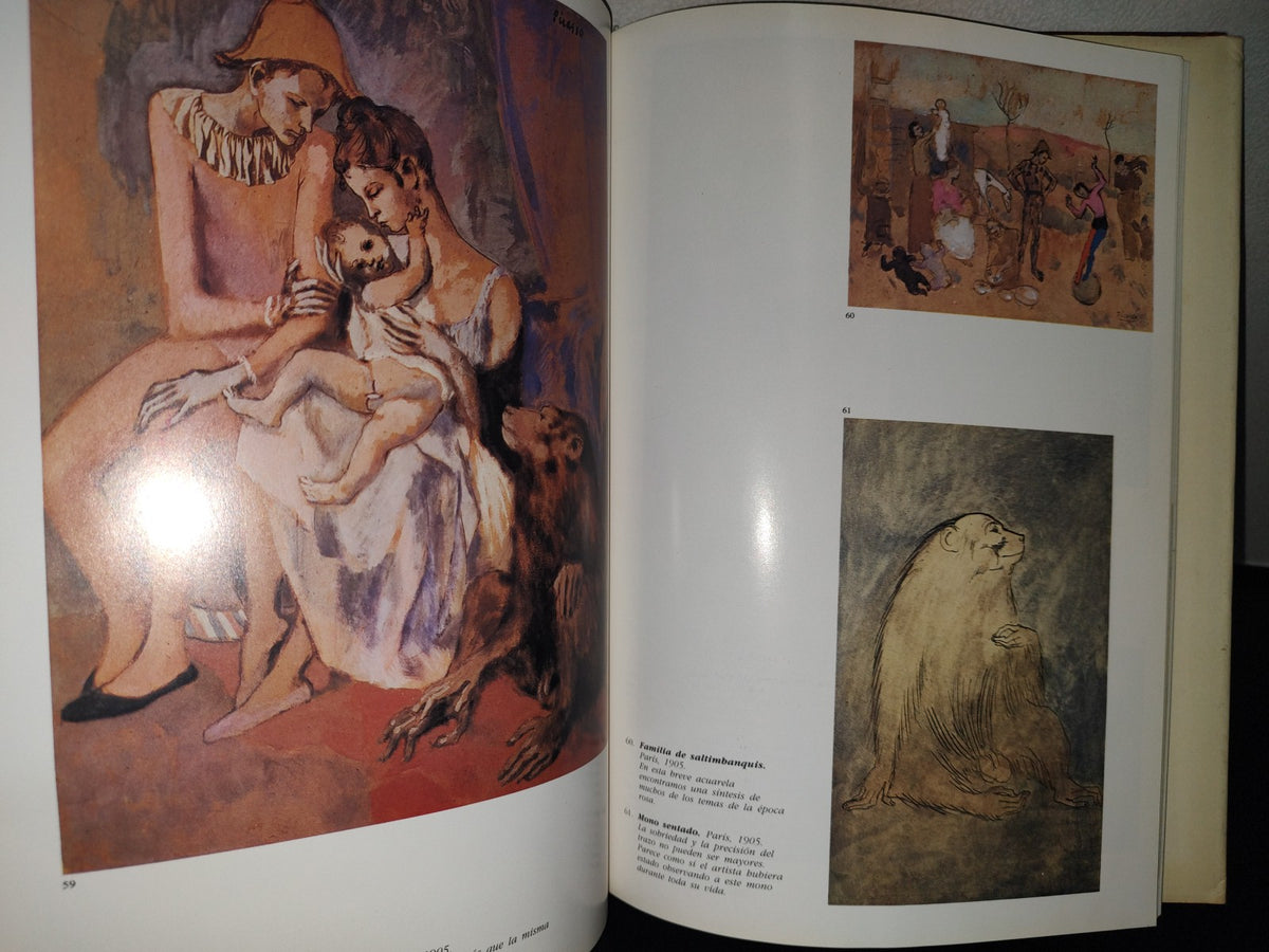 87-2- Picasso - Josep Palau I Fabre - 1981 Ediciones Polígrafa, S. A.