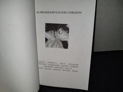 114- El Primer Impulso Del Corazón - Cruz, Gálvez, Medina, Rivera - Guadalajara, Jal., México 2000