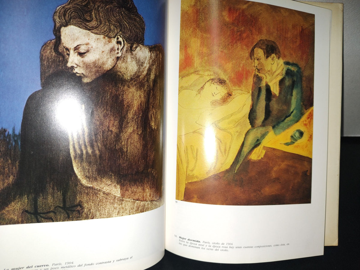 87-2- Picasso - Josep Palau I Fabre - 1981 Ediciones Polígrafa, S. A.