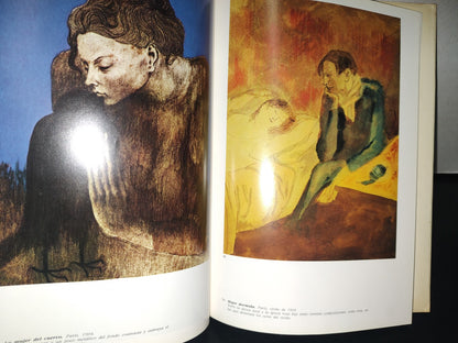 87-2- Picasso - Josep Palau I Fabre - 1981 Ediciones Polígrafa, S. A.