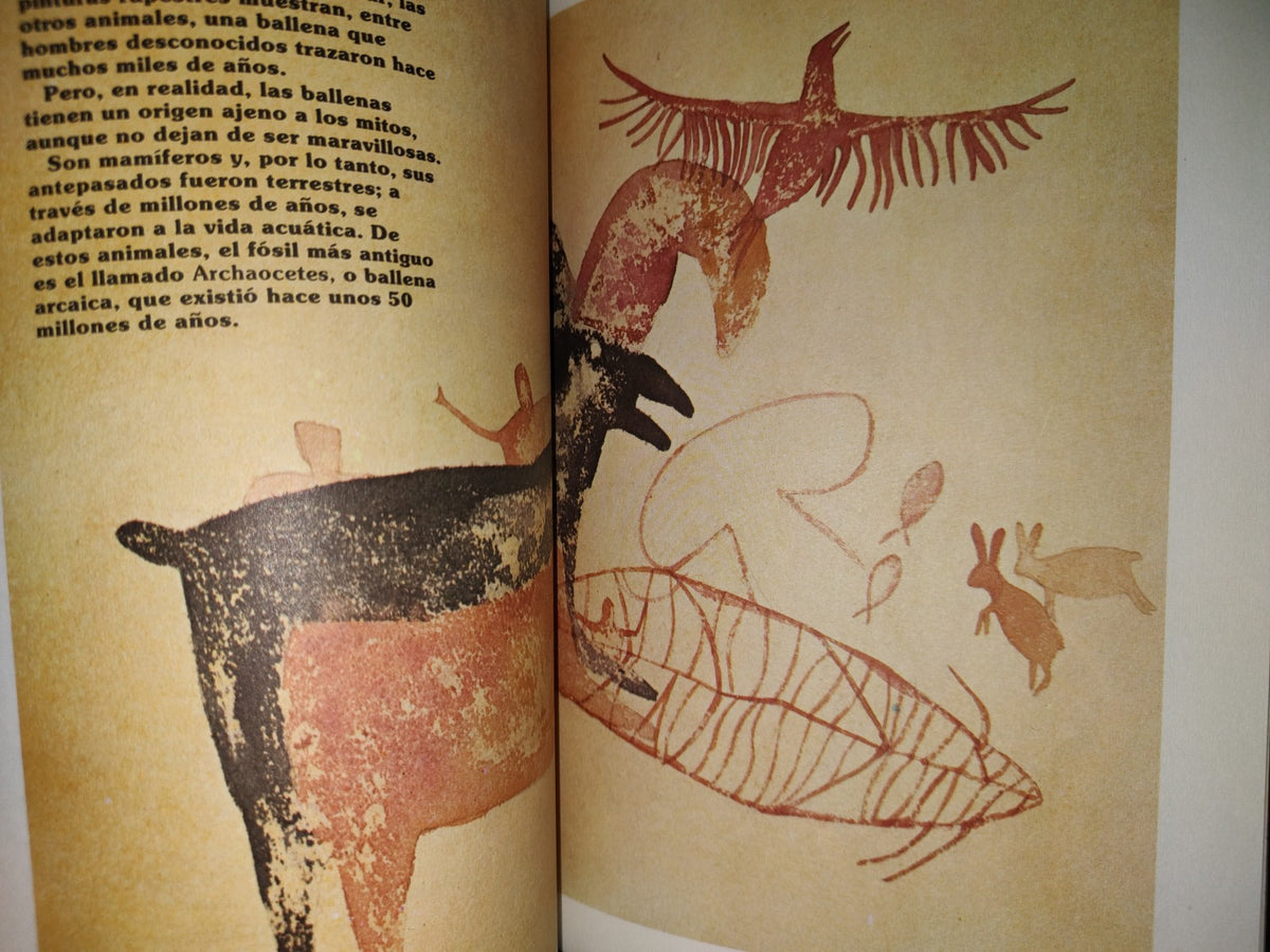 93- Libros Del Rincón Sep. Colibrí. El Agua Y Tú - 1999