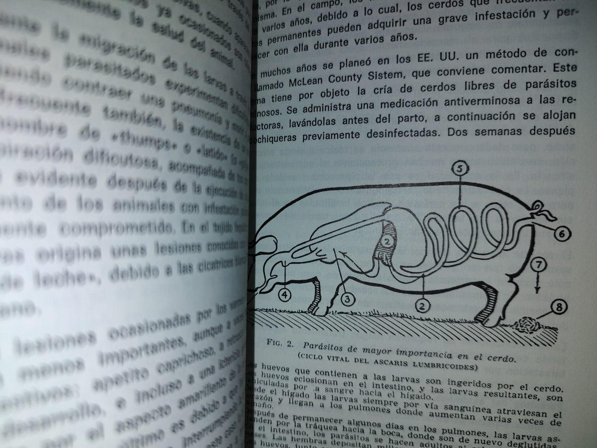 143- Enfermedades Del Cerdo - H. I .Fields Msc., M.R.C.V.S. - Editorial Acribia, S. A. - 1985