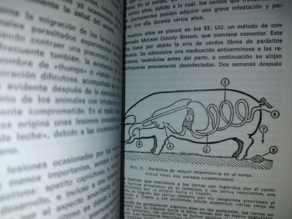 143- Enfermedades Del Cerdo - H. I .Fields Msc., M.R.C.V.S. - Editorial Acribia, S. A. - 1985