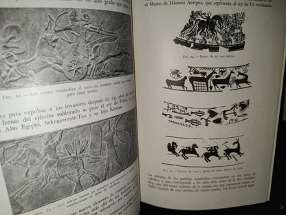 48- Ganado Caballar - José Maria Beltrán - Salvat Editores, S. A., Primera Edición, 1954