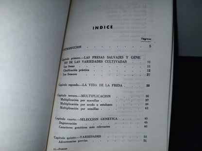 114- Cultivo De Fresas Y Fresones - Luis Alsina. Editorial Sintes. Biblioteca Del Agricultor