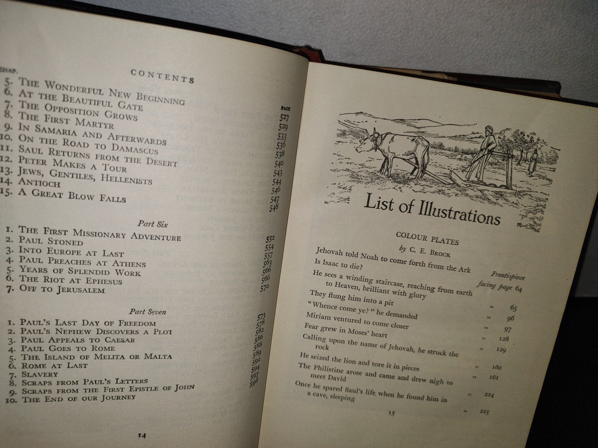65- La Biblia Ilustrada. Through The Bible By Theodora Wilson Wilson - 1954