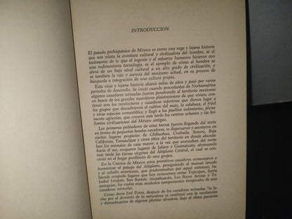 23- Una Visión Del México Prehispánico - Román Piña Chan - Instituto De Investigaciones Históricas. Universidad Nacional Autónoma De México. México, Primera Edición: 1967