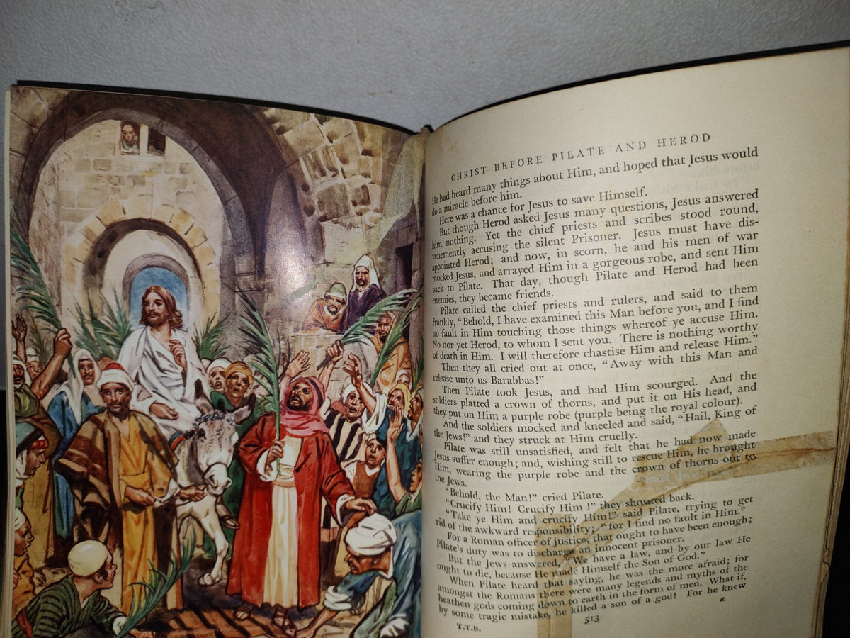 65- La Biblia Ilustrada. Through The Bible By Theodora Wilson Wilson - 1954