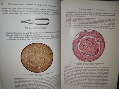 59- Tratado Práctico De Microparasitología Y Serología - E. Gotschlich, W. Schürmann - 1932