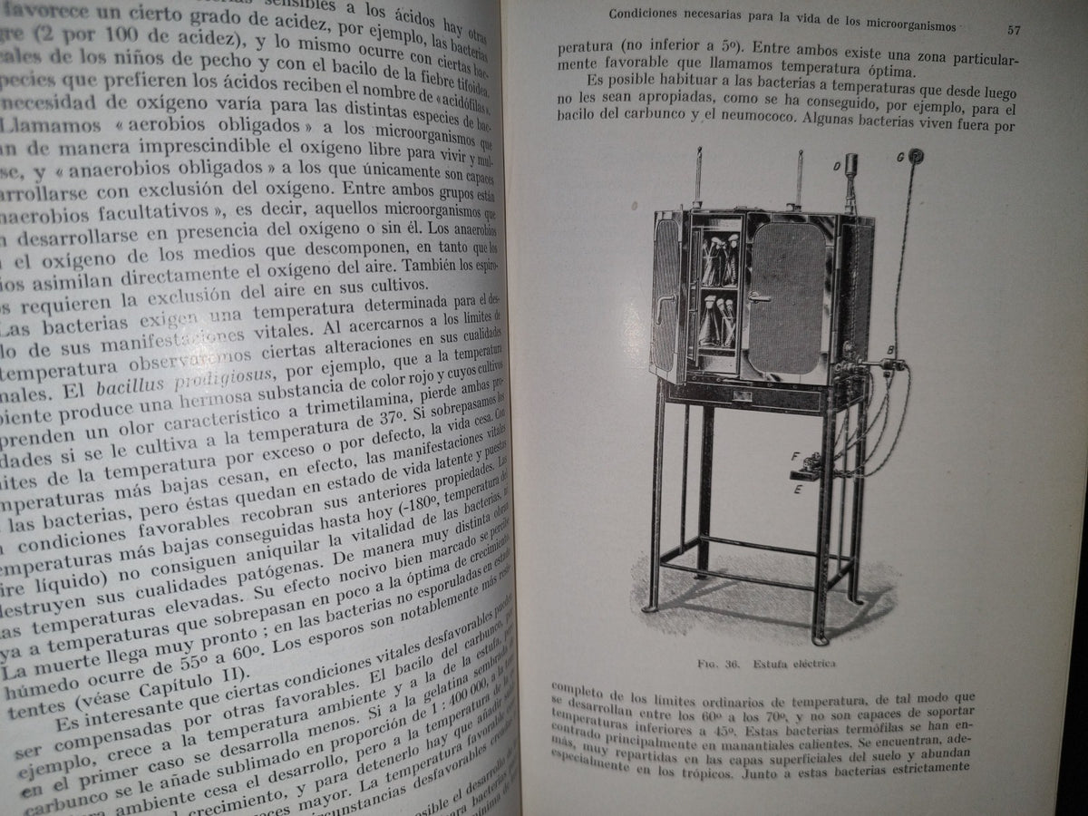 59- Tratado Práctico De Microparasitología Y Serología - E. Gotschlich, W. Schürmann - 1932