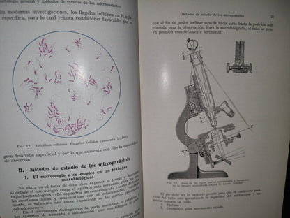 59- Tratado Práctico De Microparasitología Y Serología - E. Gotschlich, W. Schürmann - 1932