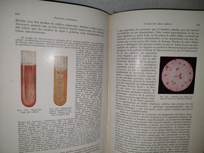 59- Tratado Práctico De Microparasitología Y Serología - E. Gotschlich, W. Schürmann - 1932