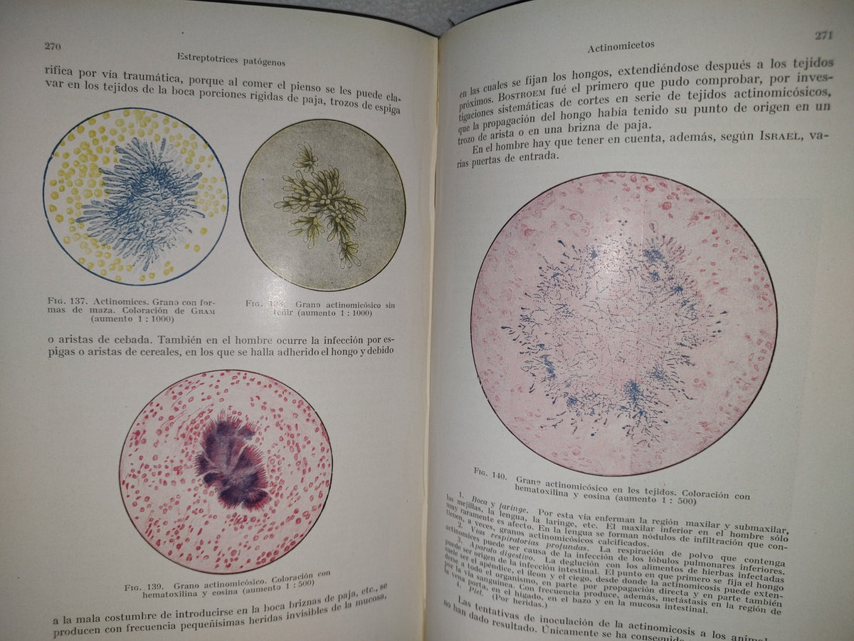 59- Tratado Práctico De Microparasitología Y Serología - E. Gotschlich, W. Schürmann - 1932
