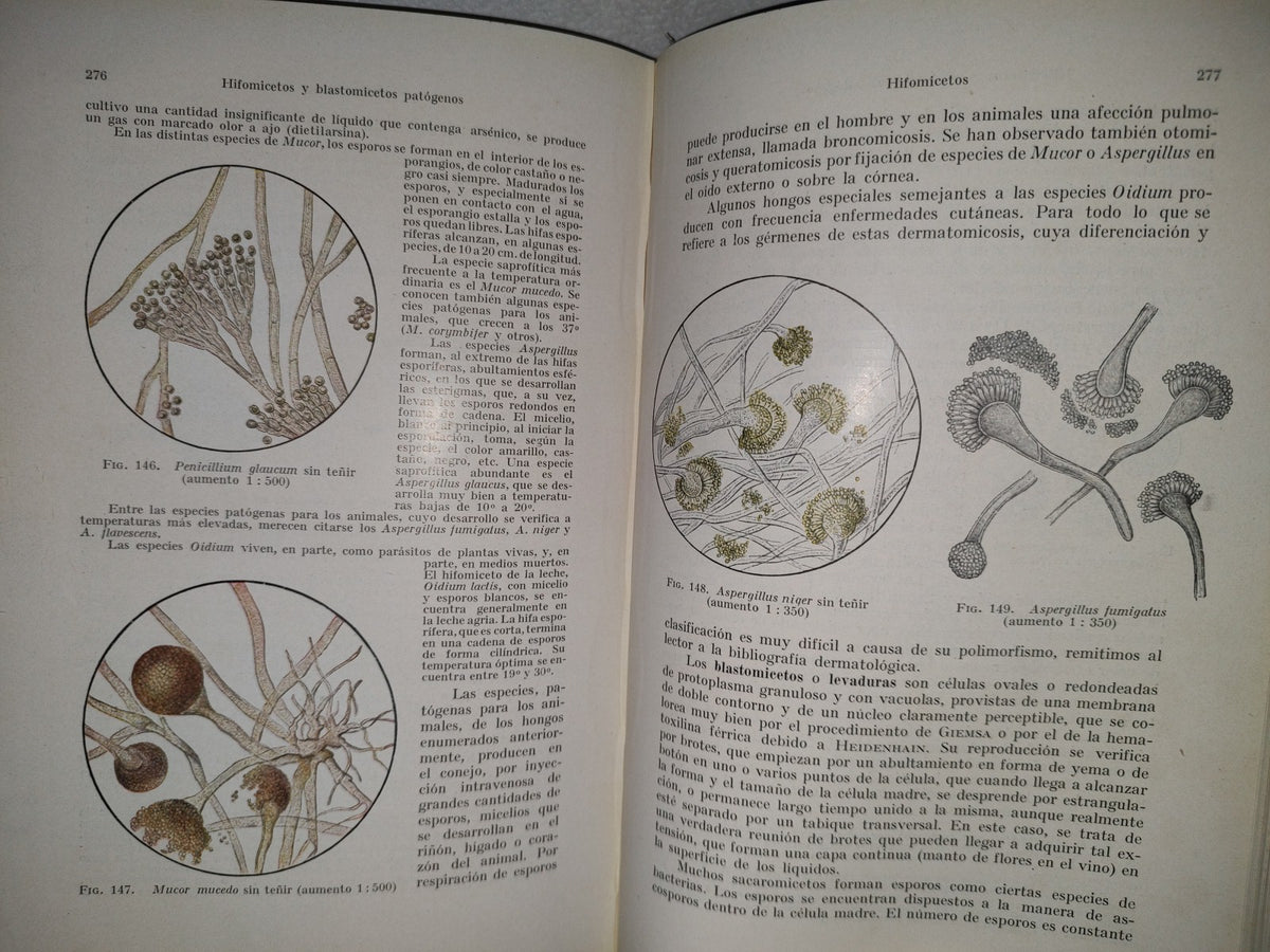59- Tratado Práctico De Microparasitología Y Serología - E. Gotschlich, W. Schürmann - 1932