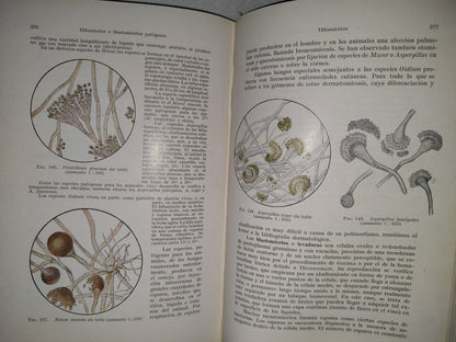 59- Tratado Práctico De Microparasitología Y Serología - E. Gotschlich, W. Schürmann - 1932
