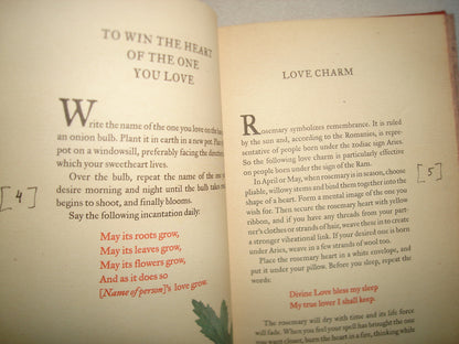 168- Libro De Hechizos/The Good Spell Book. Love Charms, Magical Cures And Other Practical Sorcery