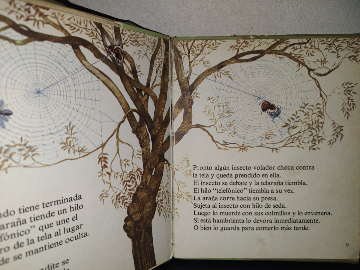 188- Mi Primera Biblioteca Básica 21. Arañas - Editorial Molino 1972
