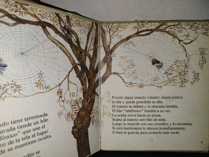 188- Mi Primera Biblioteca Básica 21. Arañas - Editorial Molino 1972