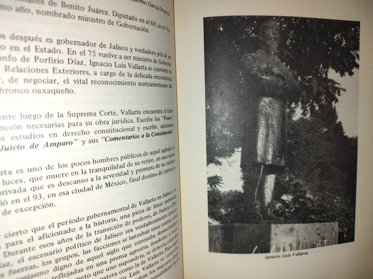 209- El Jardín De La Historia - Guillermo García Oropeza. Ayuntamiento De Guadalajara - 1A. Ed. 1988