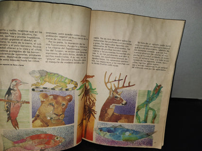 114- Libro Vintage De La Sep: Jalisco, Perla Sobre La Arena. Monografía Estatal, Sep - 1981