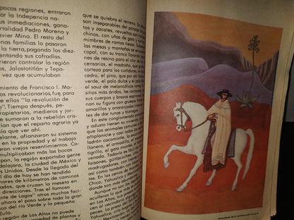 114- Libro Vintage De La Sep: Jalisco, Perla Sobre La Arena. Monografía Estatal, Sep - 1981