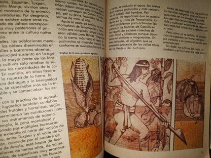 114- Libro Vintage De La Sep: Jalisco, Perla Sobre La Arena. Monografía Estatal, Sep - 1981