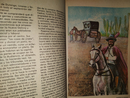 114- Libro Vintage De La Sep: Jalisco, Perla Sobre La Arena. Monografía Estatal, Sep - 1981