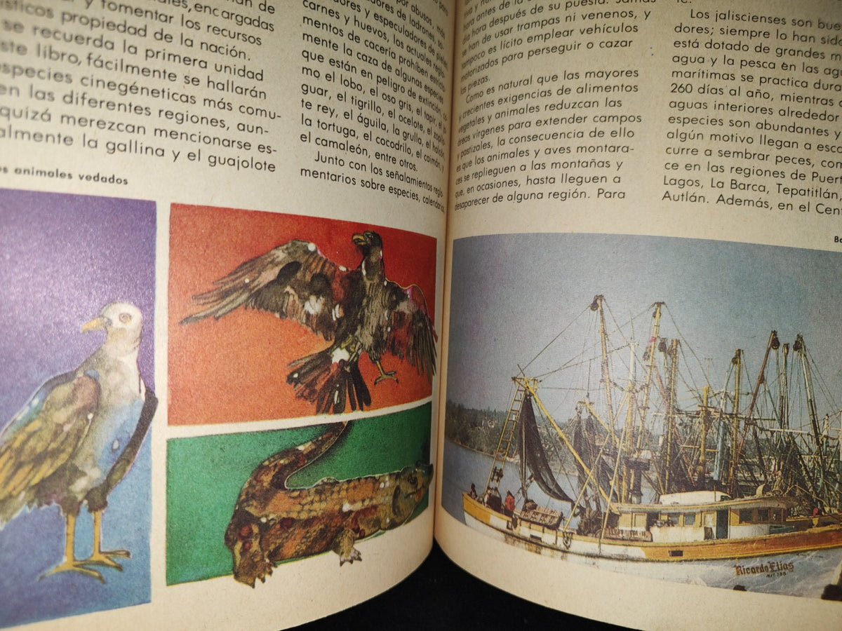 114- Libro Vintage De La Sep: Jalisco, Perla Sobre La Arena. Monografía Estatal, Sep - 1981