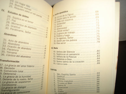 24- Encuentro, Manual De Oración - Ignacio Larrañaga