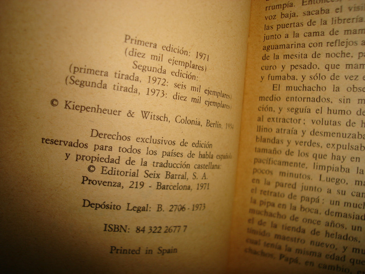 38- Casa Sin Amo - Heinrich Böll