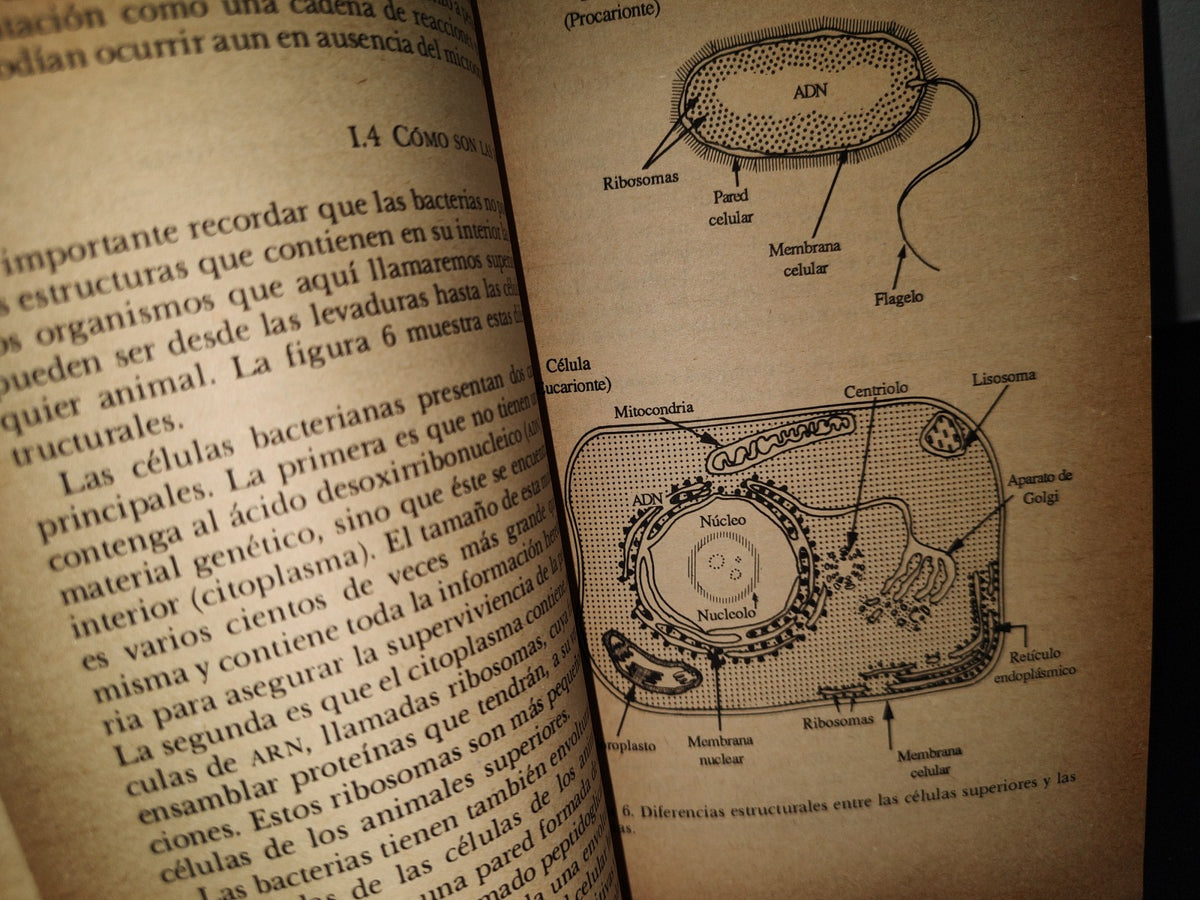 160- El Mundo De Los Microbios - Georges Dreyfus Cortés - La Ciencia/43 Desde México. Primera Edición 1987