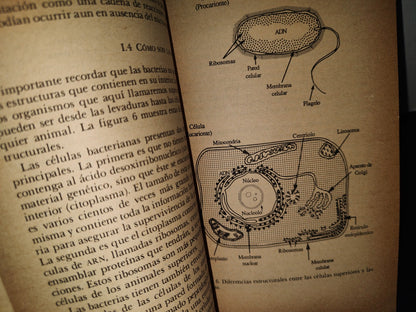 160- El Mundo De Los Microbios - Georges Dreyfus Cortés - La Ciencia/43 Desde México. Primera Edición 1987