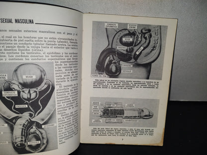 84- Atlas Sexual. 287 Ilustraciones - Dr. Lemon Clark -1966