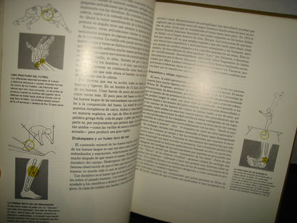 20- Colección Científica Time Life - El Cuerpo Humano