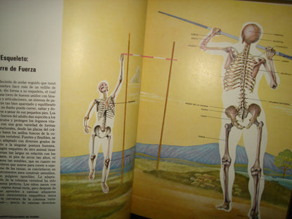20- Colección Científica Time Life - El Cuerpo Humano