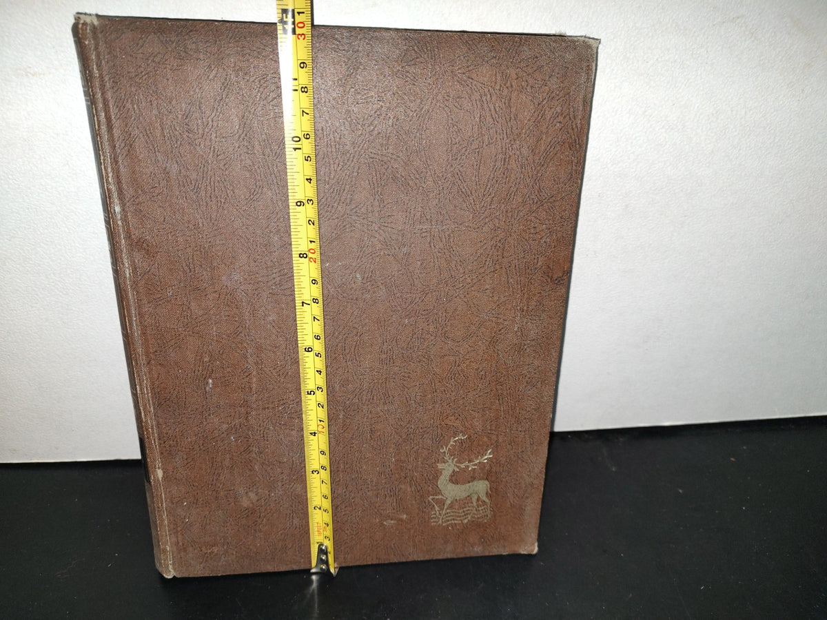 192- La Respuesta Está En La Biblia. Tomo V - Bac Miñón - 1970
