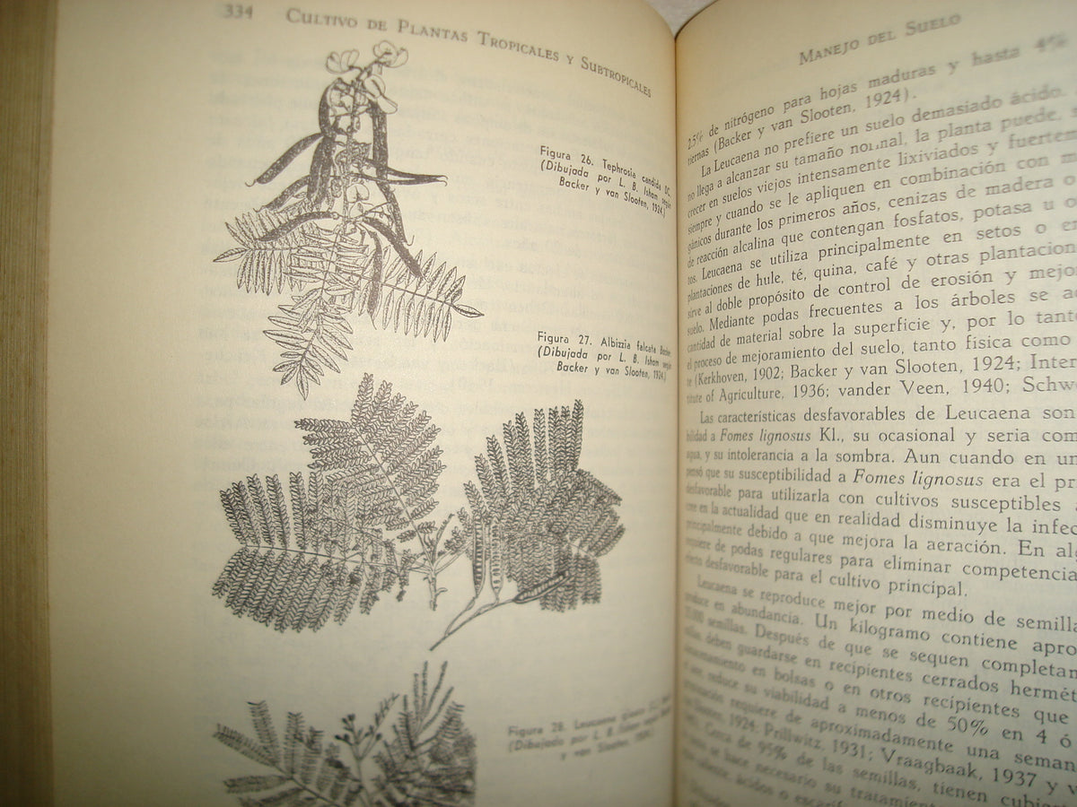 161- Cultivo Y Mejoramiento De Plantas Tropicales Y Subtropicales - J. J. Ochse, M. J. Soule, Jr. - Limusa