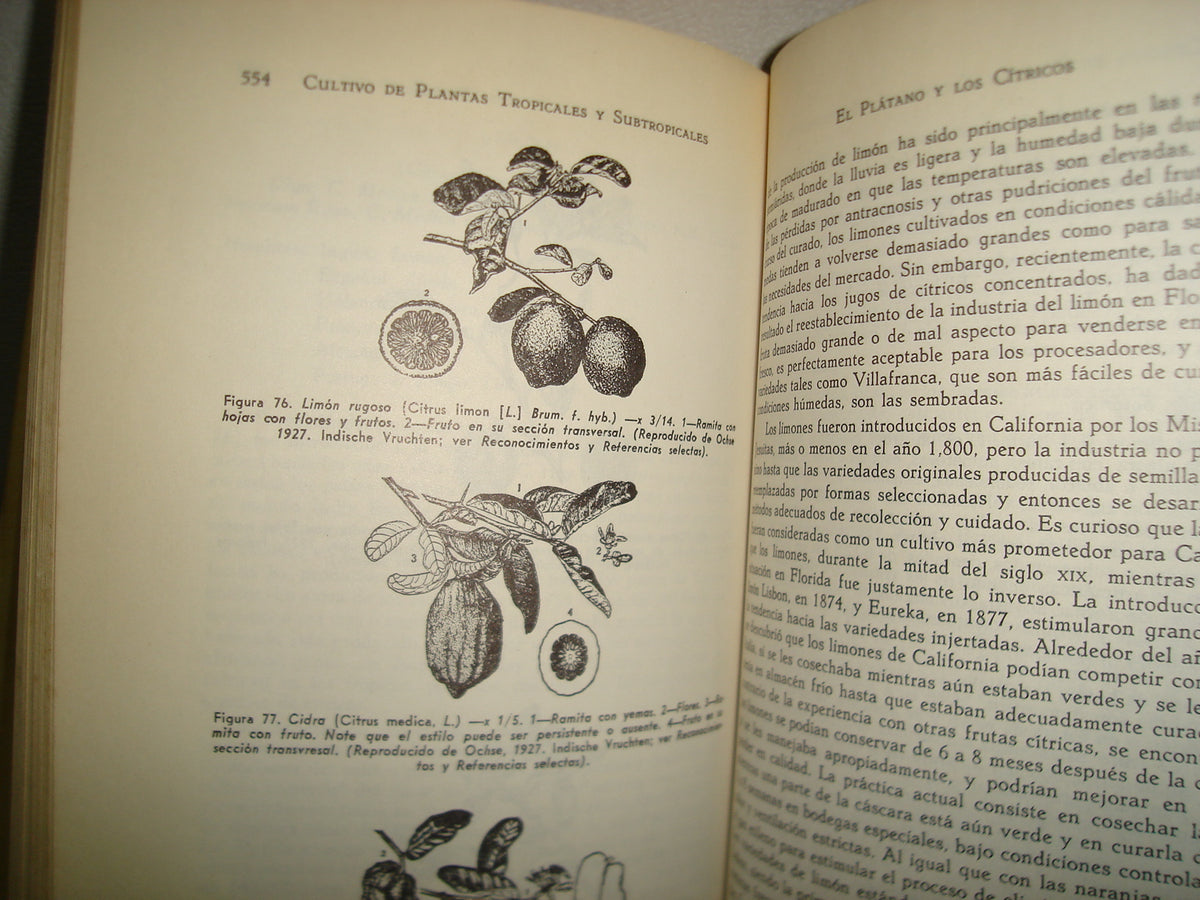 161- Cultivo Y Mejoramiento De Plantas Tropicales Y Subtropicales - J. J. Ochse, M. J. Soule, Jr. - Limusa