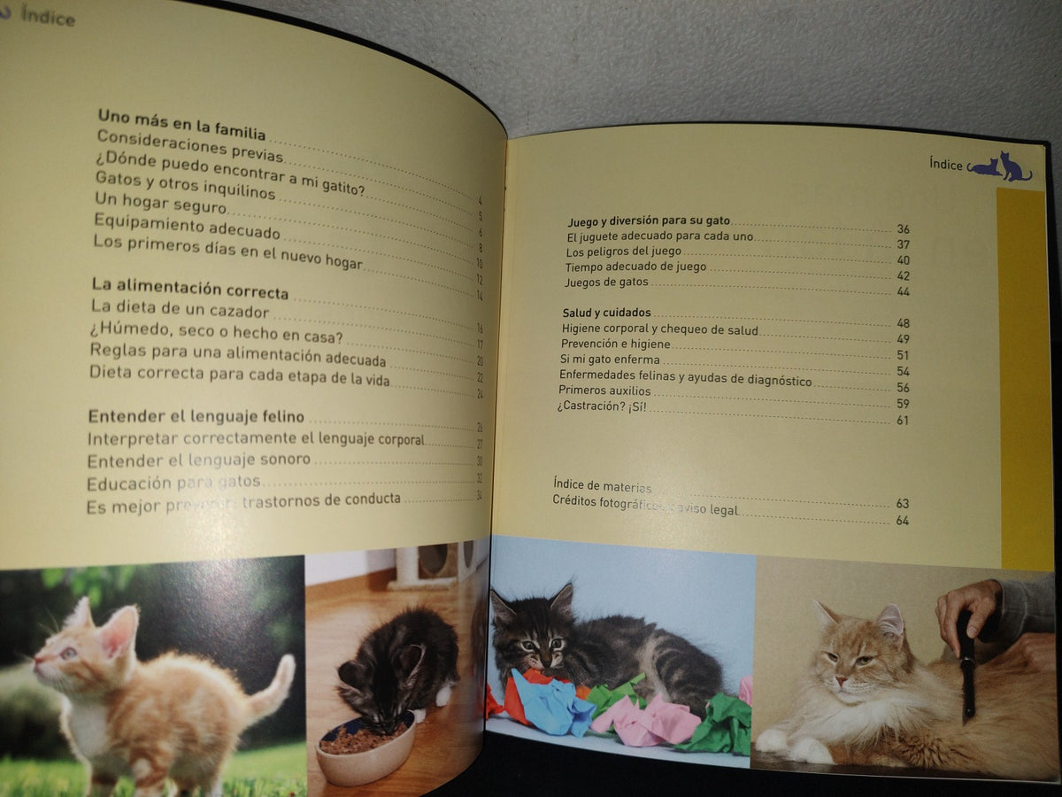93- Gatos Sanos Y En Forma. Cuidarlos, Alimentarlos Y Comprenderlos - Ediciones Saldaña, S. A. 2011